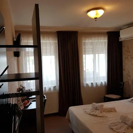 Anticus (adults Only)